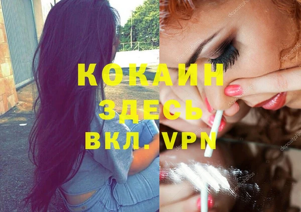 молекула духа Покров