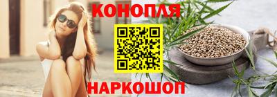 скорость Гатчина