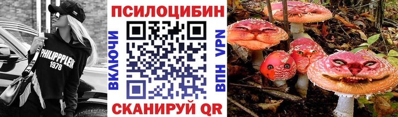 Псилоцибиновые грибы MAGIC MUSHROOMS  купить  цена  Абинск 