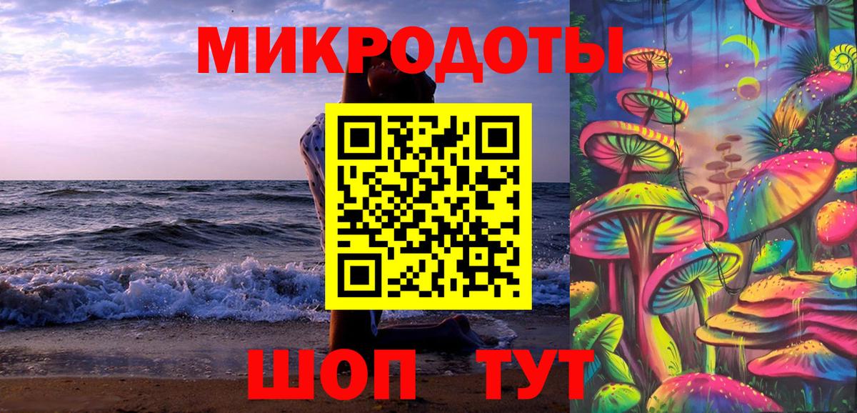 Псилоцибиновые грибы Psilocybe Абинск