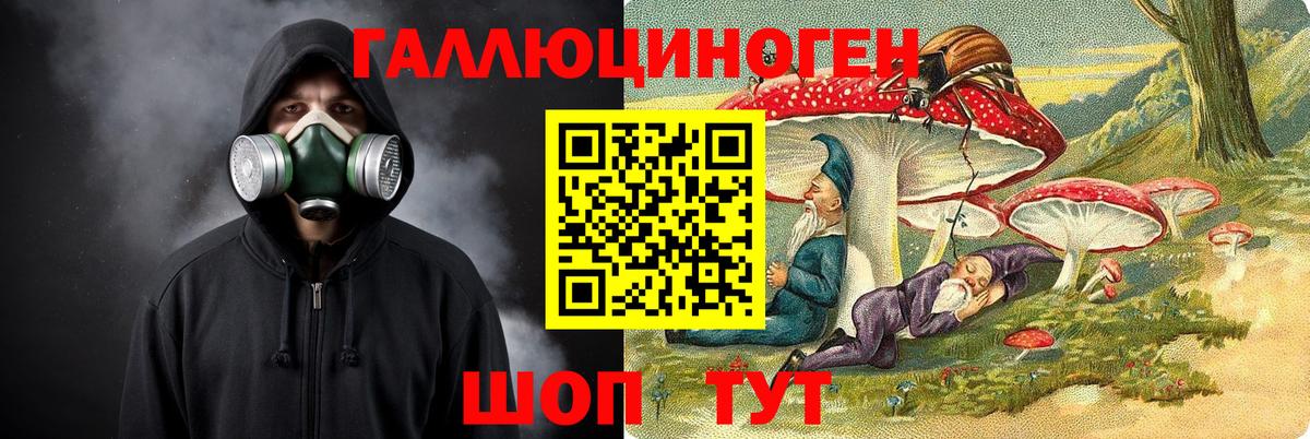 Абинск  Галлюциногенные грибы GOLDEN TEACHER  купить   Вход с VPN 
