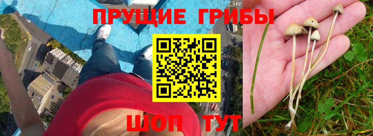 Метамфетамин  COCAIN  МАРИХУАНА  Марихуана  Абинск  Масло THC  Гарик  ГАШИШ  Мяу-Мяу  Круглые  Вход с VPN 